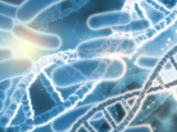 DNA and Bacterias